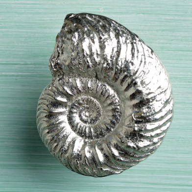 Pewter Ammonite Fossil Bathroom Cabinet Furniture Handles Large UK made | Image 1