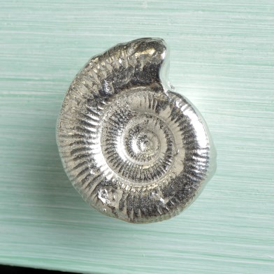 Ammonite Fossil Pewter Door Handle Small | Image 1