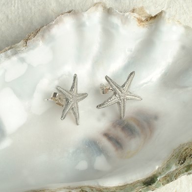 Starfish Stud Earrings, English Pewter Seaside Jewellery Gifts | Image 1