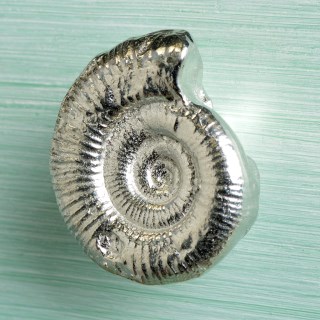 Ammonite Fossil Pewter Door Handle Small | Image 3