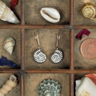 Ammonite Fossil Drop Earrings, English Pewter Ammonite Gifts | Image 3