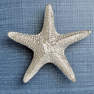 Starfish Pewter Door Handles Large | Image 2