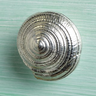 Pewter Seashell Drawer Pulls Spiral Shell Furniture Handles | Image 2