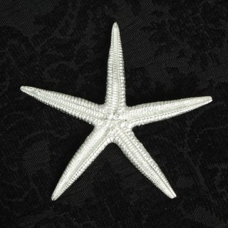 Starfish Pewter Brooch UK Handmade Starfish Gifts | Image 2