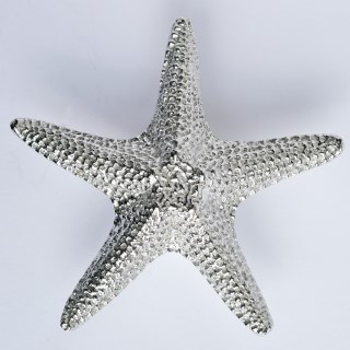 Starfish Pewter Door Handles Large | Image 4